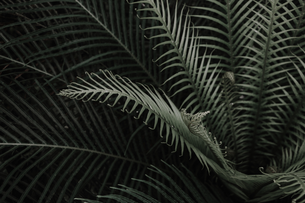 Forged Wheels & Suspension