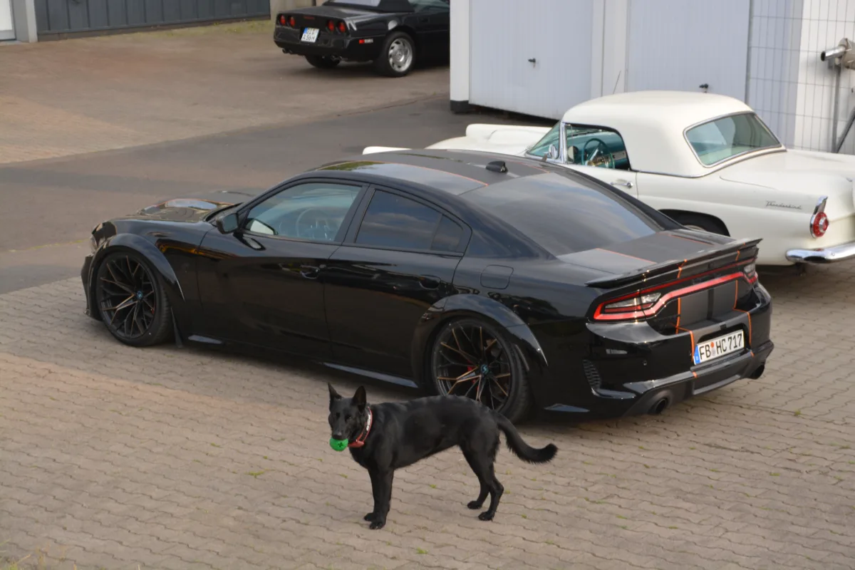 Forged Wheels & Suspension