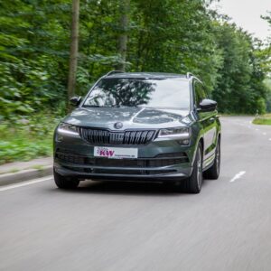 PERFORMER PACK für Cupra Formentor TSI 2.0 AWD